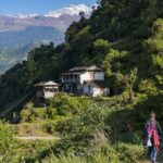 2024-10 - Népal - J04 - De Tolka à Ghandruk - 025